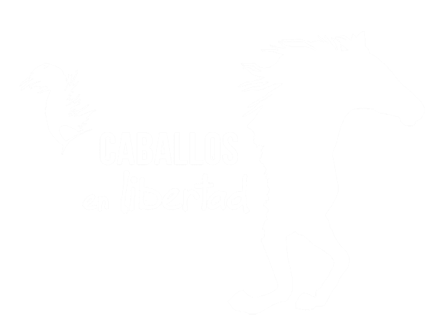 Imagen logo caballos en libertad